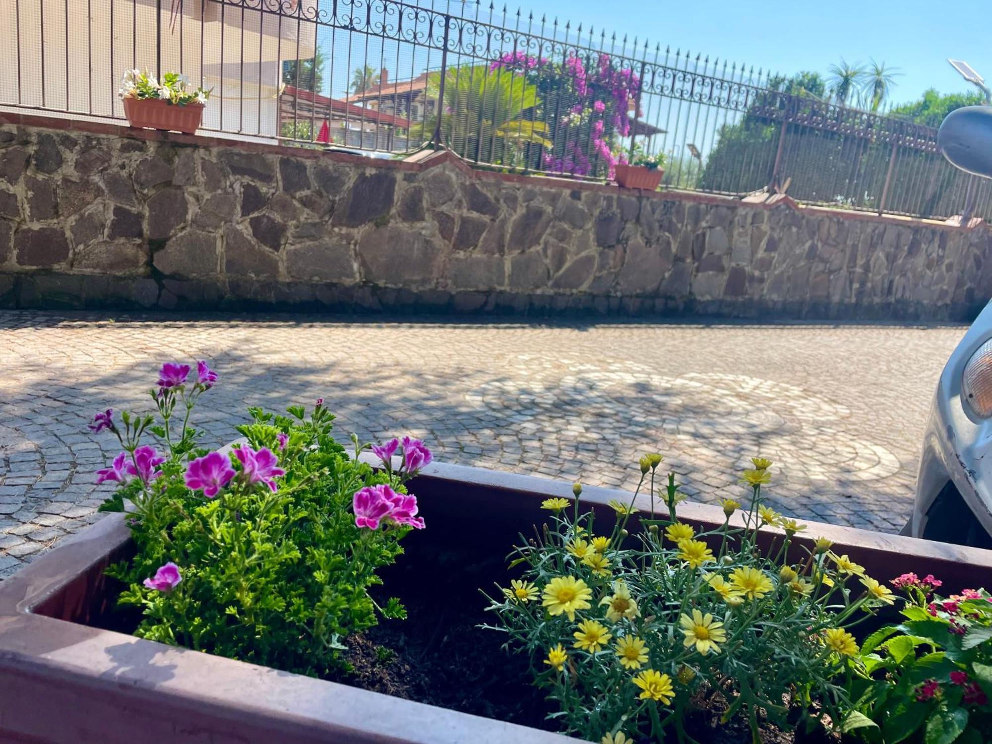 Da Ste Daire Ercolano Dış mekan fotoğraf