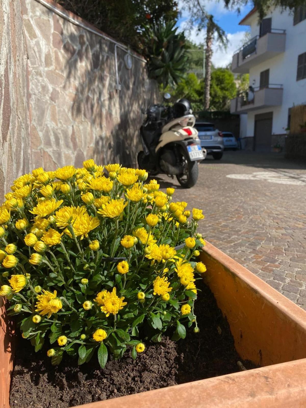 Da Ste Daire Ercolano Dış mekan fotoğraf